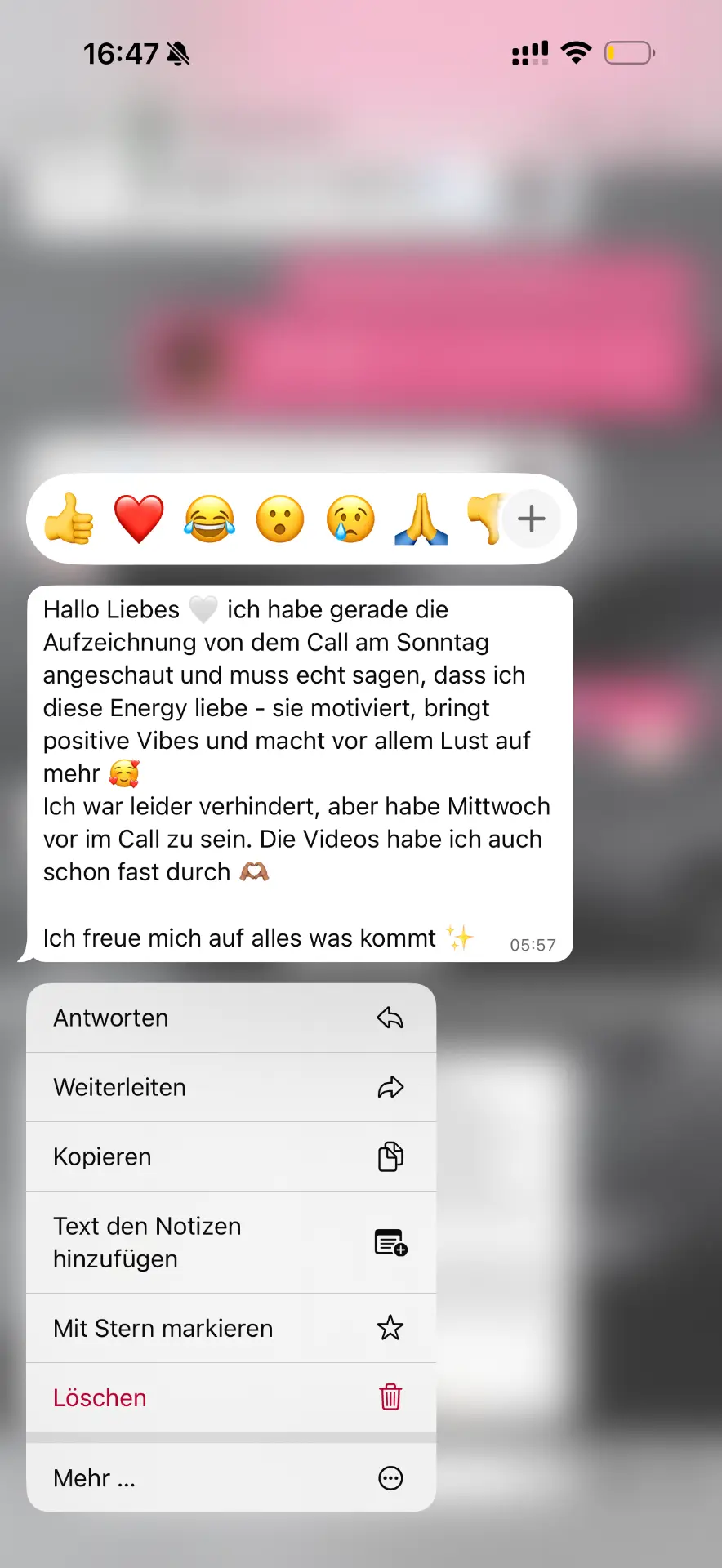 Salesqueens Erfahrung 24 aus der WhatsApp-Gruppe