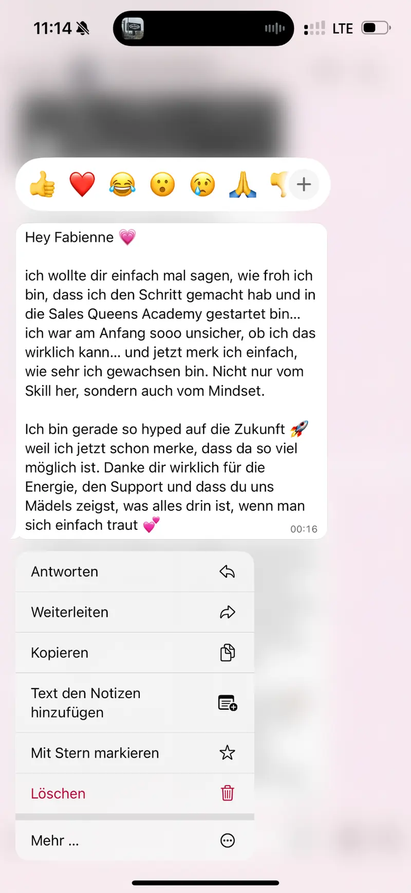 Salesqueens Erfahrung 11 aus der WhatsApp-Gruppe